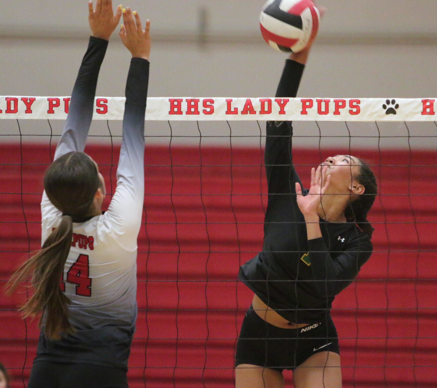 Golden Bears open season with victory over Bullpups